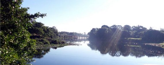 Después: Limpieza y retiro de vegetación acuática del río Naranjo.
